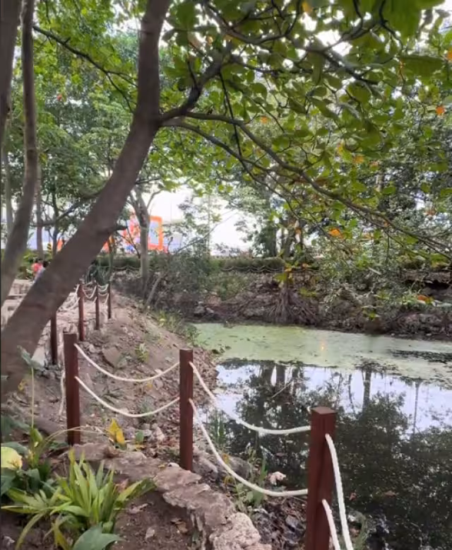 A unos metros del estacionamiento del super, está el famoso "ojo de agua"