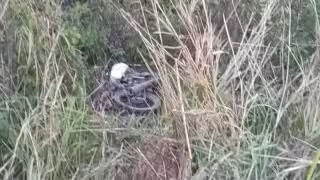 Motociclista extraviado es localizado muerto en Champotón