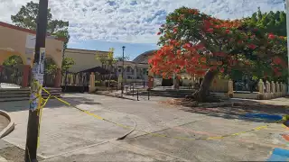 Avispero pone en riesgo a menores de una primaria de Campeche