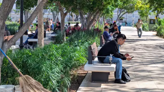 Tener una red de apoyo ayuda contra la depresión estacional, que afecta a algunas personas