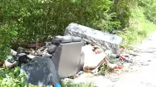 Propietarios podrían pagar limpieza de terrenos baldíos en el predial 2026