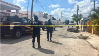 Agentes catearon un predio en Mulchechén y el jueves en Chuburná