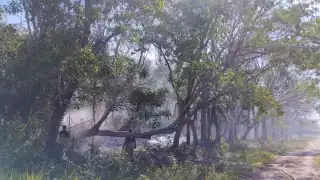 Altas temperaturas provocan incendios diarios en el municipio de Escárcega en Campeche