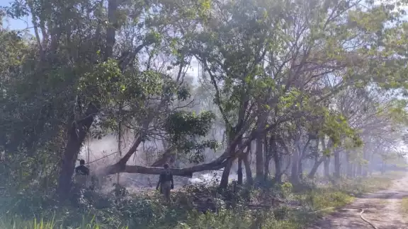 Los bomberos lograron controlar el incendio después de una hora. Los bomberos lograron controlar el incendio después de una hora.