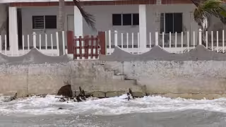 Mar se come a estos municipios de Yucatán: los más afectados por la erosión costera