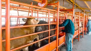 Más de 231 mil pruebas realizadas en Campeche durante 2025