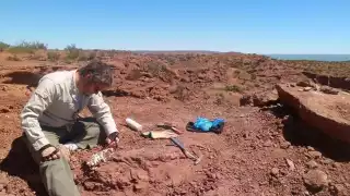 Un investigador del CONICET se encarga de este descubrimiento