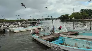  Decepción invade a pescadores de Campeche, aseguran que "de nada sirve denunciar robo"
