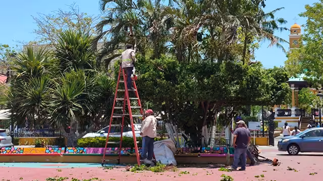 Bonos laborales en peligro por desacuerdos entre sindicatos en Carmen