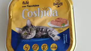 Usuario en redes sociales comparte haber recibido comida para gato en vez de celular.