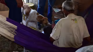 Inapam alerta sobre incremento de trastornos emocionales en la entidad