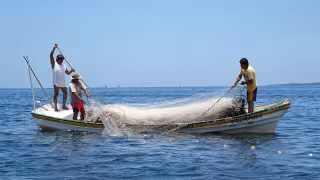Baja pesca en Yucatán preocupa a miles de familias que dependen del mar