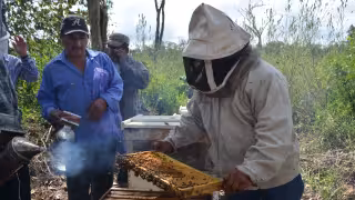 La SCJN emitió un fallo unánime a favor de 17 comunidades indígenas de Hopelchén.