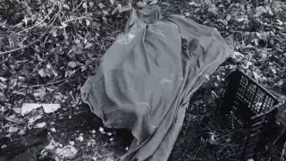 Macabro hallazgo en Playa del Carmen: un hombre calcinado tras brutal riña en la colonia Nicte-Ha