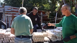 Distribuyen una tonelada de huevos a mil familias del Sur de Mérida