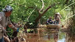  Rescatarán Laguna de la Guadalupe    ubicada en Ciudad del Carmen