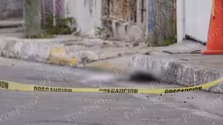 Indignación por un caso de maltrato animal en la unidad habitacional Presidentes de México.