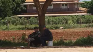 Diputados del PAN y MC denuncian omisión oficial ante ecocidio en Campeche