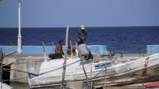 En Lerma impulsan el proyecto de zonas protegidas con respaldo de los diputados para resguardar áreas clave del ecosistema marino