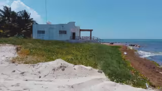 Profepa pone sellos a predio de Chabihau tras detectar tala y daño a la duna costera