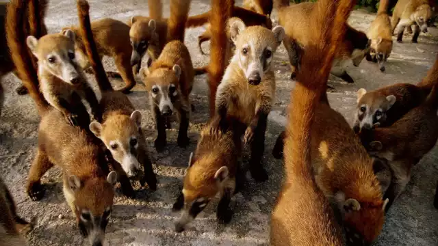 Ciudadanos aseguran que se dejaron de ver desde antes de la pandemia.