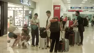 Yuriko y Fernando han viajado durante todo el año con “Spock”, el cual causó sensación entre los usuarios de la T2