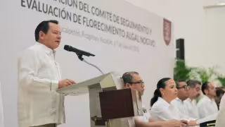 Yucatán activa vigilancia por marea roja para proteger a turistas y consumidores de mariscos