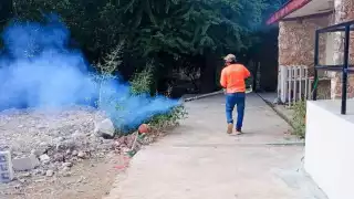 Los últimos efectos meteorológicos en el Estado han propiciado mayor humedad y brote de moscos.