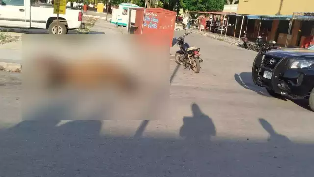 La yegua era trasladada para participar en una cabalgata