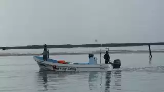 El número de personas dedicadas a esta actividad comercial ha incrementado, lo que impacta negativamente al sector