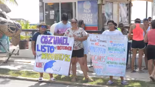 Cuarto muelle en Cozumel deberá someterse a nueva evaluación ambiental