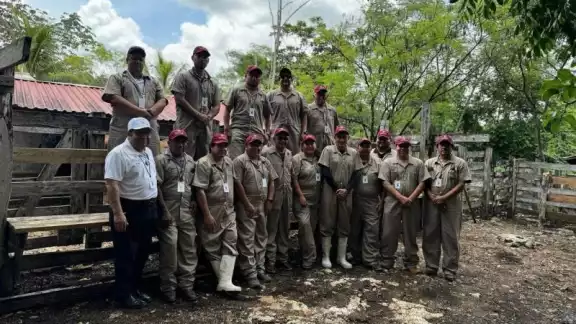 Gobierno del Estado intensifica control del gusano barrenador en Yucatán Gobierno del Estado intensifica control del gusano barrenador en Yucatán