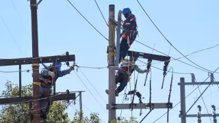 La CFE presume menos fallos; trece días después, un corte de siete horas oscureció al Sureste
