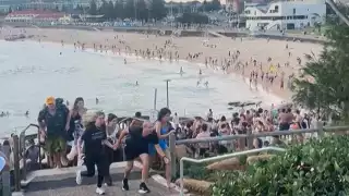 Once personas perdieron la vida en el ataque en Bondi Beach en Sídney
