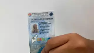 Caravanas de licencias y permisos de conducir en Tulum: Fechas horarios y requisitos