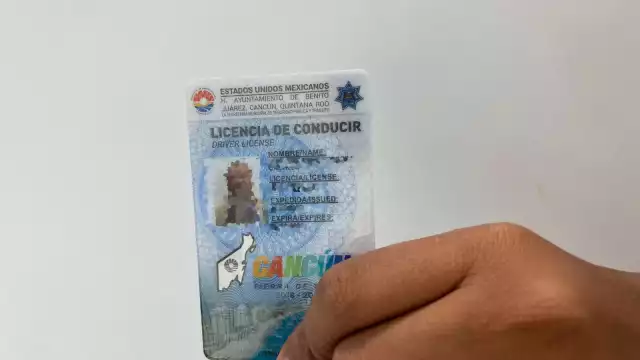 Las caravanas para las licencias y permisos de conducir se encuentran disponibles hoy 6 de noviembre