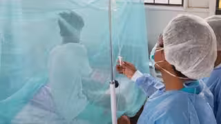 Alerta sanitaria en Yucatán: Tizimín registra primer caso de dengue de variante agresiva