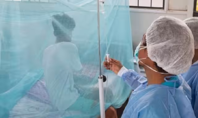 Tizimín se convierte en el cuarto municipio de Yucatán con dengue tras confirmarse un caso de la variante agresiva DENV-2.