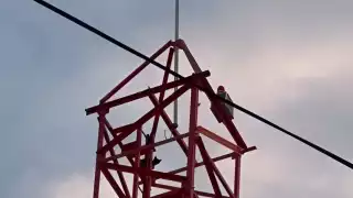 Muere gatito que quedó atrapado en torre de luz durante tres días en colonia Solidaridad de Chetumal