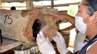 María Erlinda ha logrado salir adelante y ofrecer educación  a sus hijos, mientras conserva la abej melipona