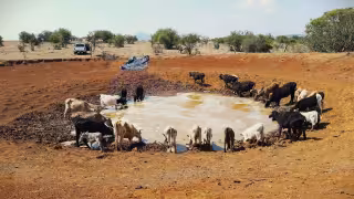 Pronase alerta sequía en Calakmul y Escárcega