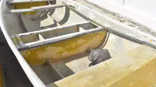 Pescadores de Chicxulub Puerto se quejan de que los visitantes arrojan sus desperdicios donde sea