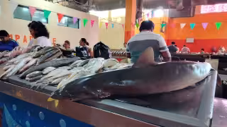 Locatarios del mercado principal de Campeche reportan bajas ventas en Cuaresma