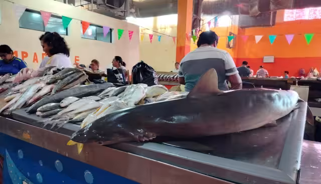 Pandemia y pérdida de tradición afectan venta de pescado