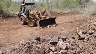 Profepa detecta desmonte ilegal y daños en más de 5 mil metros cuadrados de la reserva natural