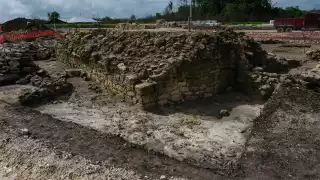 El hallazgo quedará a cargo del programa Promeza