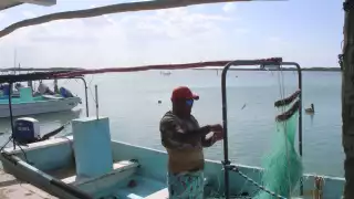 La captura excesiva de mero, pulpo y langosta ha provocado una disminución alarmante de los ejemplares