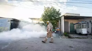 Al 13 de octubre de este año, en la Península se reportaron 388 casos, 151 de ellos en Yucatán