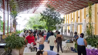 Las nuevas licenciaturas de la UNAY iniciarán en enero y agosto