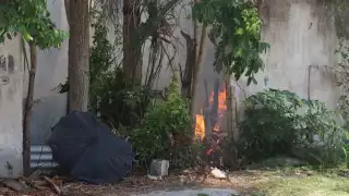 Bomberos de la SSP sofocaron el incendio en el terreno